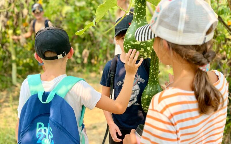 séjour nature Ariège activités sportives jeunes Ariège vacances aventure Occitanie canyoning rafting Ariège