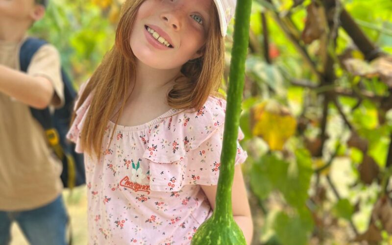 séjour nature Ariège activités sportives jeunes Ariège vacances aventure Occitanie canyoning rafting Ariège