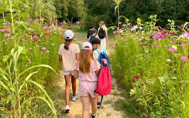 séjour nature Ariège activités sportives jeunes Ariège vacances aventure Occitanie canyoning rafting Ariège