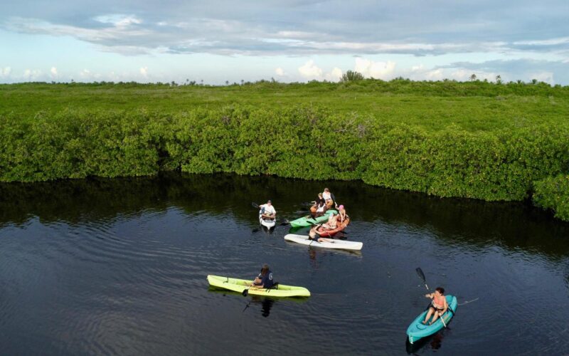 séjour nature Mexique sites mayas et cénotes voyage solidaire Mexique immersion culturelle Mexique